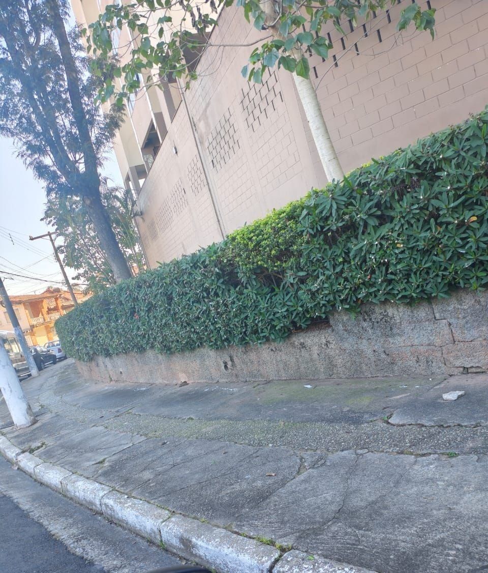 Muro coberto de trepadeira aparada ao longo de uma rua em ladeira