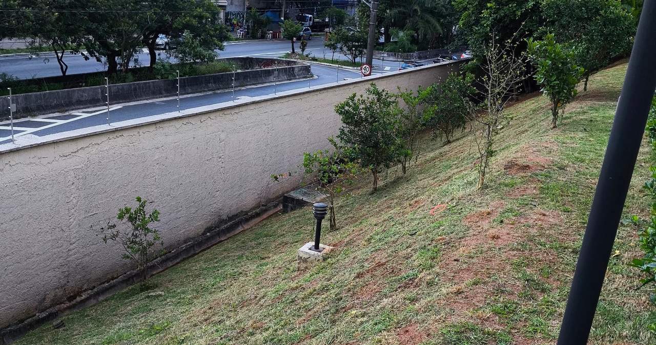 Talude gramado com mudas de árvore plantadas ao longo do muro