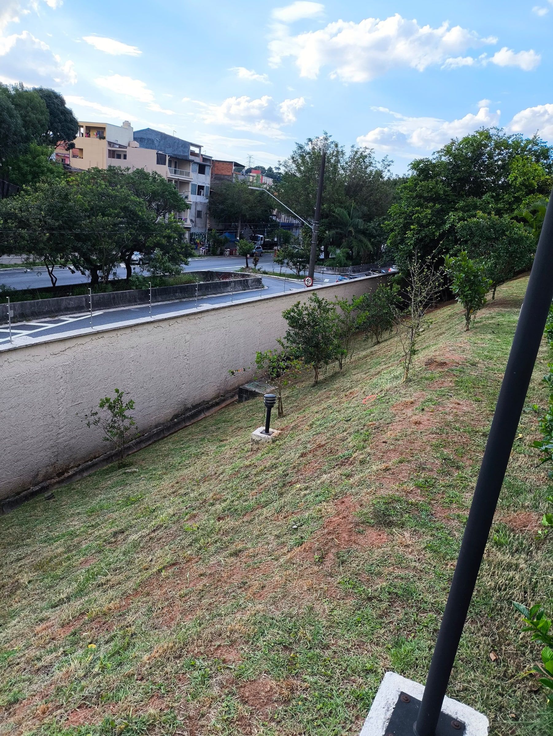 Talude gramado com mudas de árvore plantadas ao longo do muro