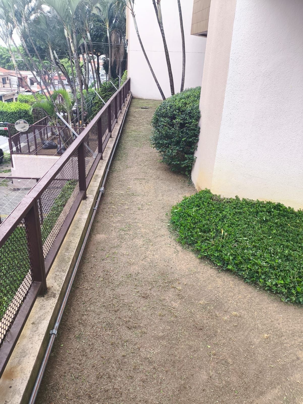 Caminho de terra ao lado de canteiro de forração e arbusto aparado, junto a um guarda-corpo