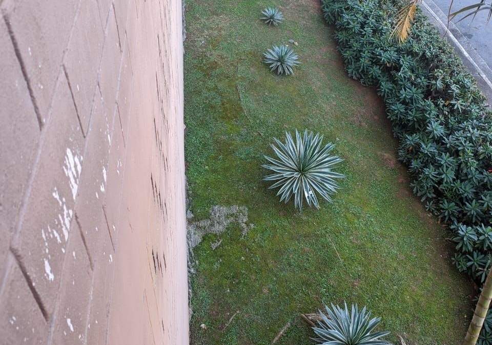 Talude gramado com agaves e cerca-viva ao lado de um muro