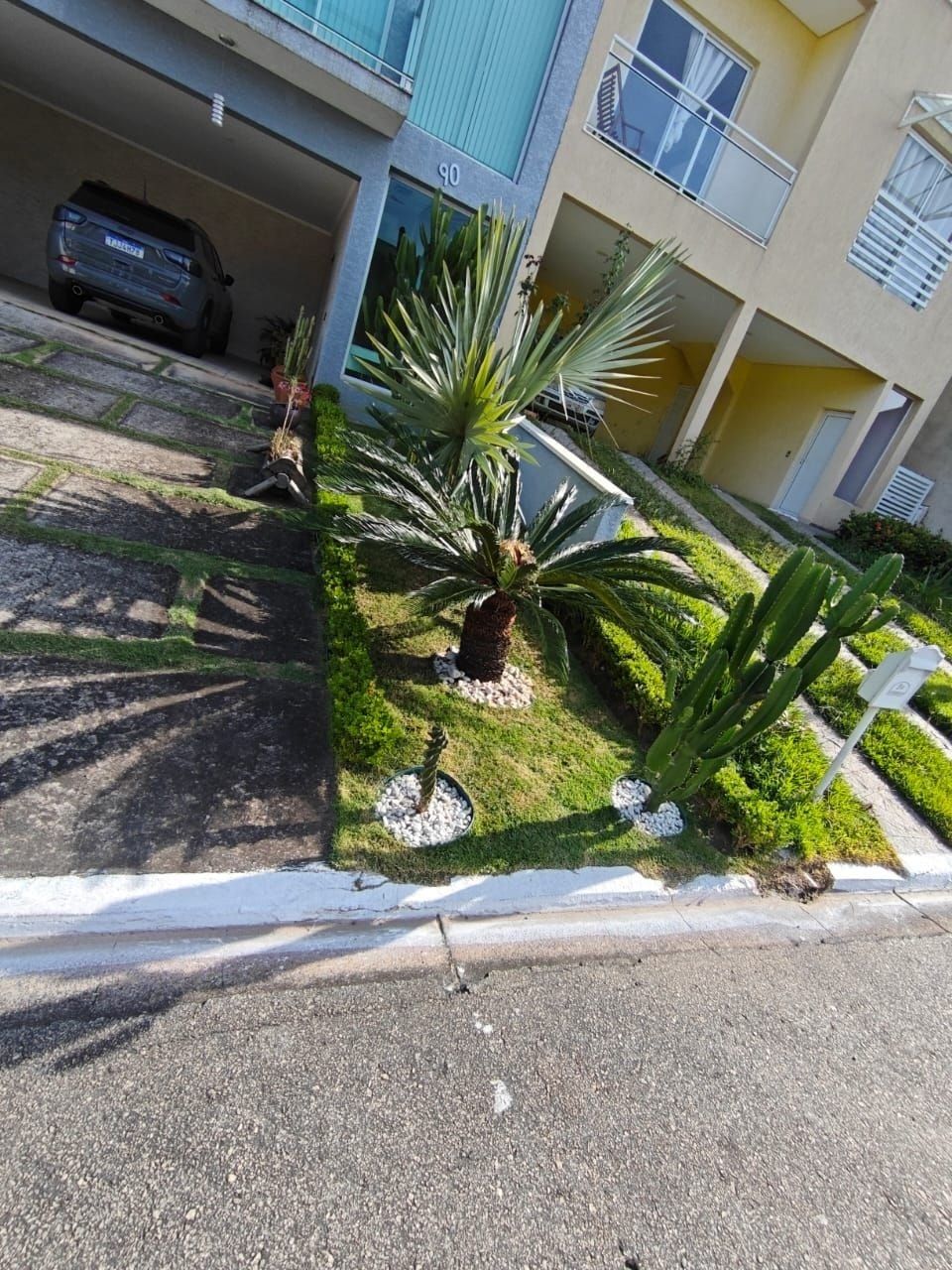 Jardim de frente de casa com cica, palmeira-leque e borda de buxinho