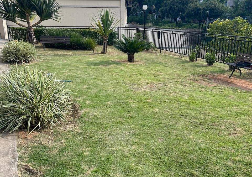 Gramado cortado com canteiros de agave e cicas num jardim de condomínio