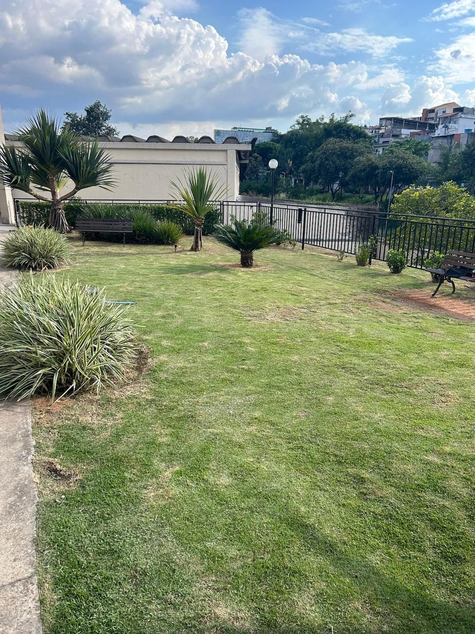 Gramado cortado com canteiros de agave e cicas num jardim de condomínio