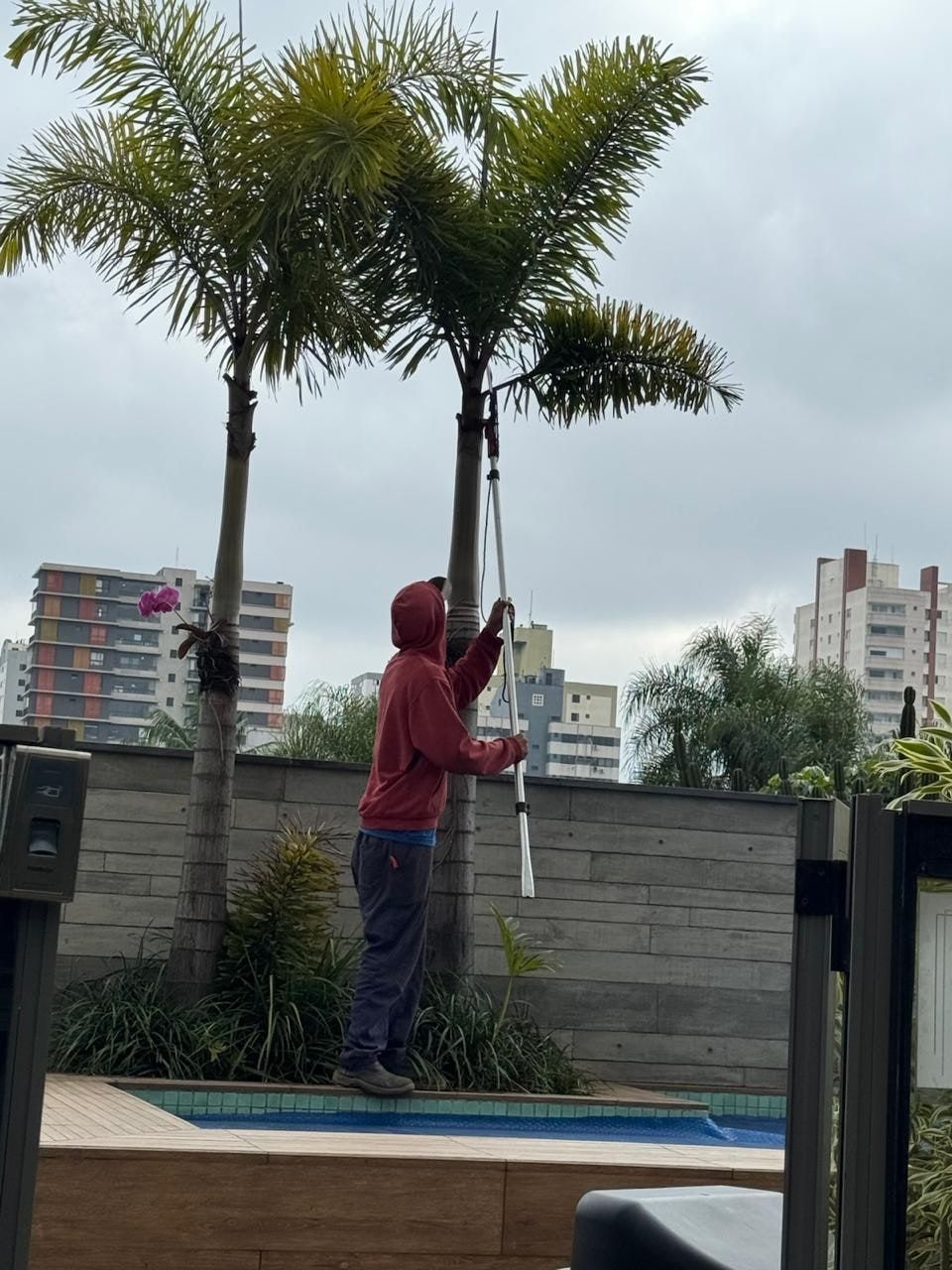 Funcionário limpando palmeira com podão ao lado da piscina de um prédio