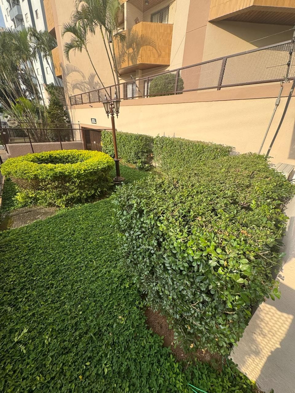 Topiarias e cerca-viva aparadas no jardim de um prédio