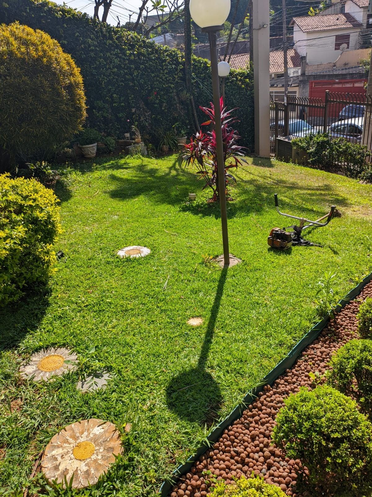 Gramado recém-cortado com cordyline vermelha, num jardim de condomínio