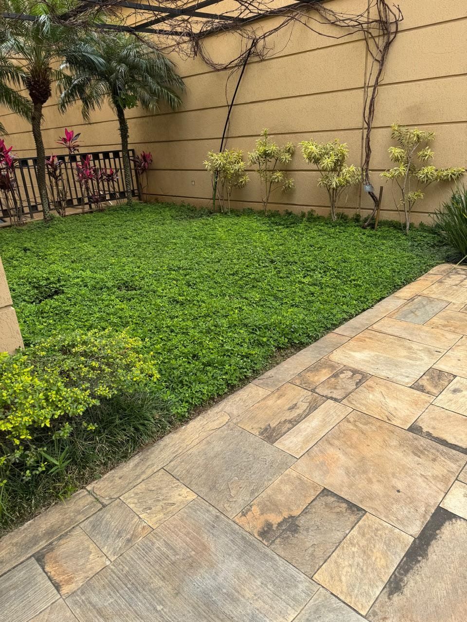 Forração verde e caminho de pedra no jardim de um prédio