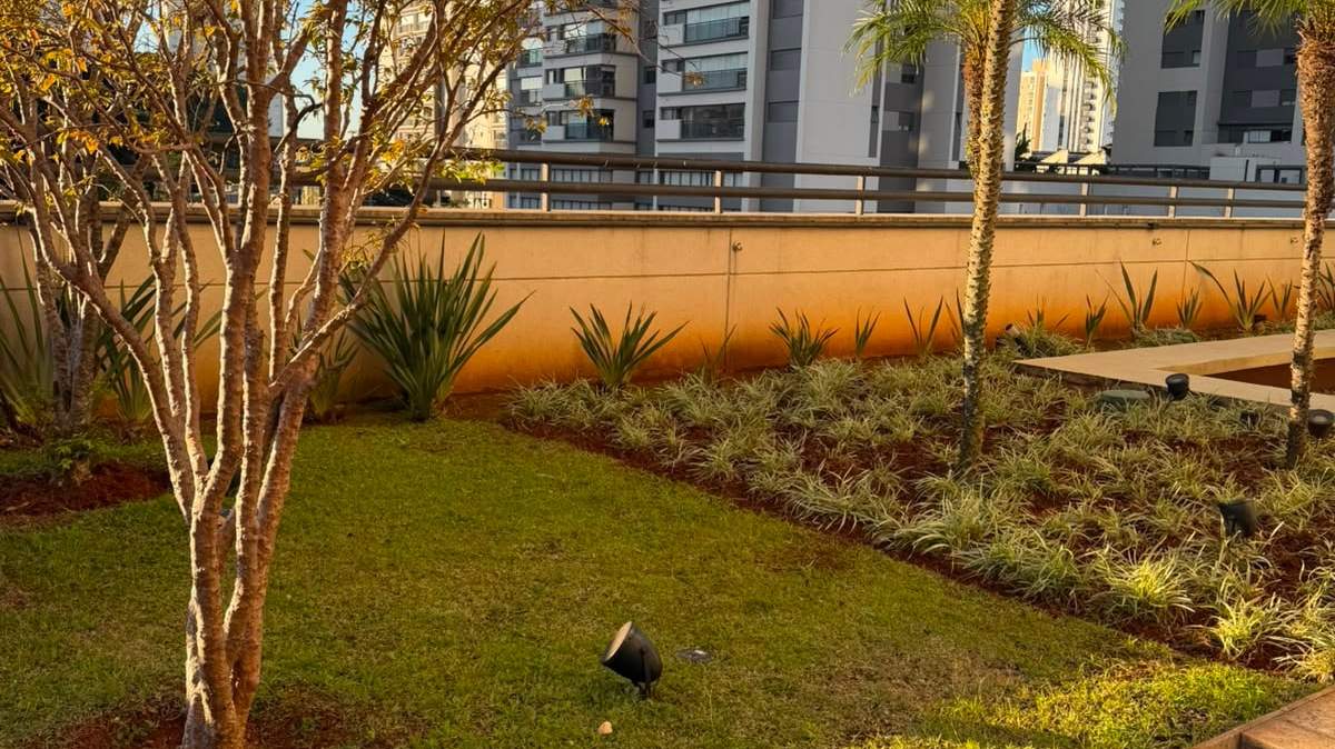 Jardim de condomínio com gramado e árvore de tronco claro, no fim da tarde