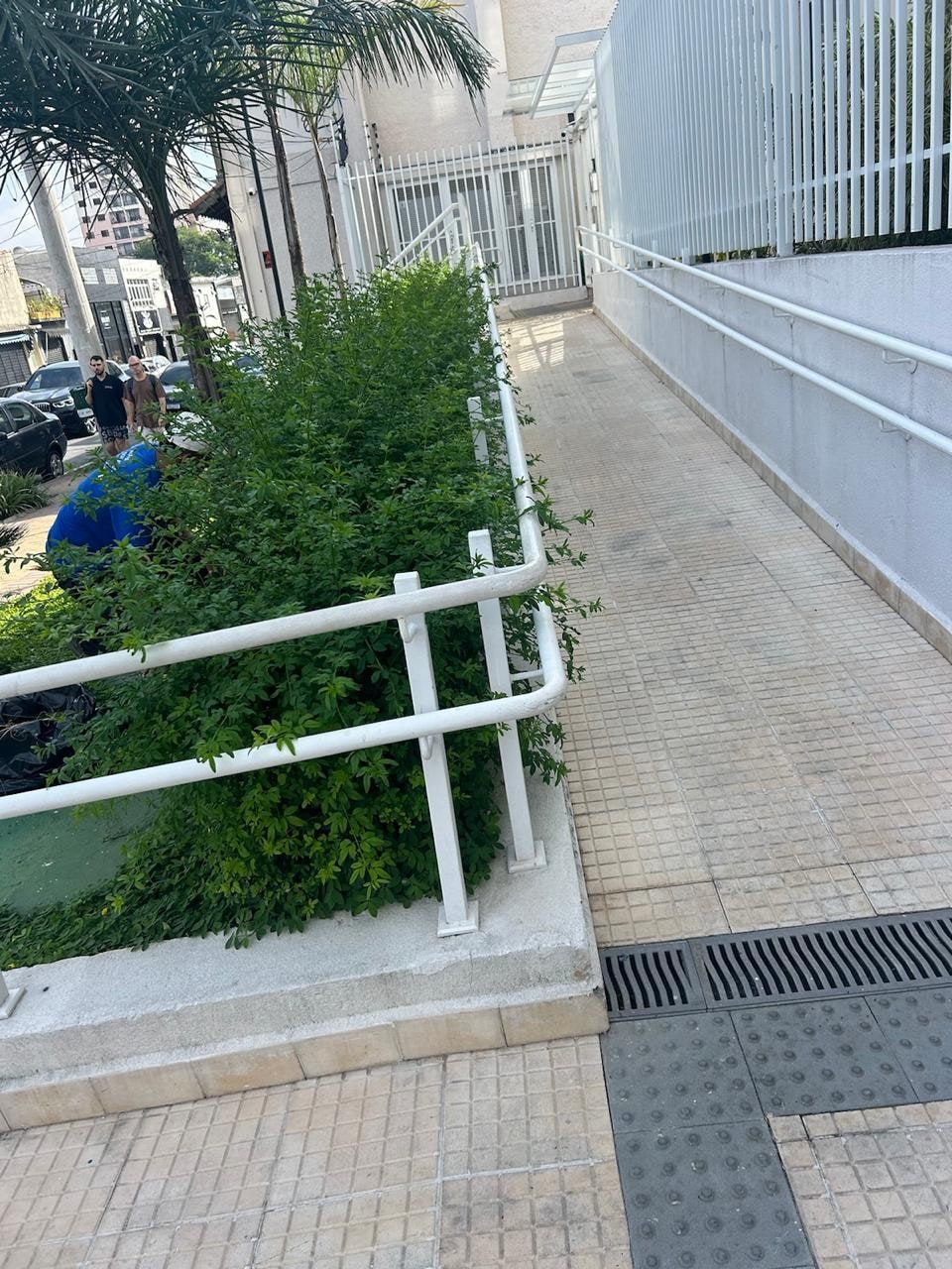 Funcionário da Alpha podando arbustos junto à rampa de um prédio