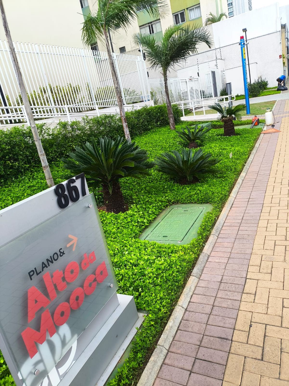Canteiro de condomínio no Alto da Mooca, com cicas e forração, ao lado da placa do prédio