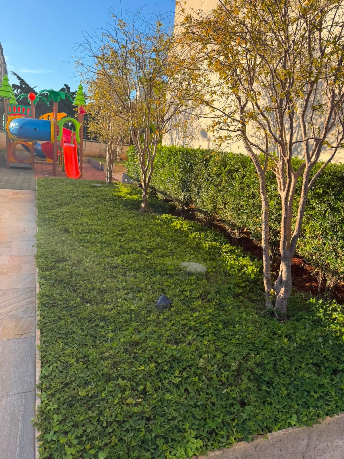 Gramado e árvores podadas ao lado do playground de um condomínio