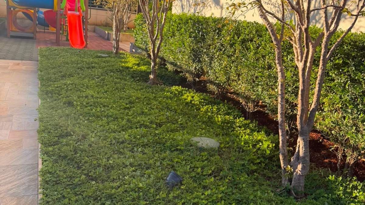 Gramado e árvores podadas ao lado do playground de um condomínio