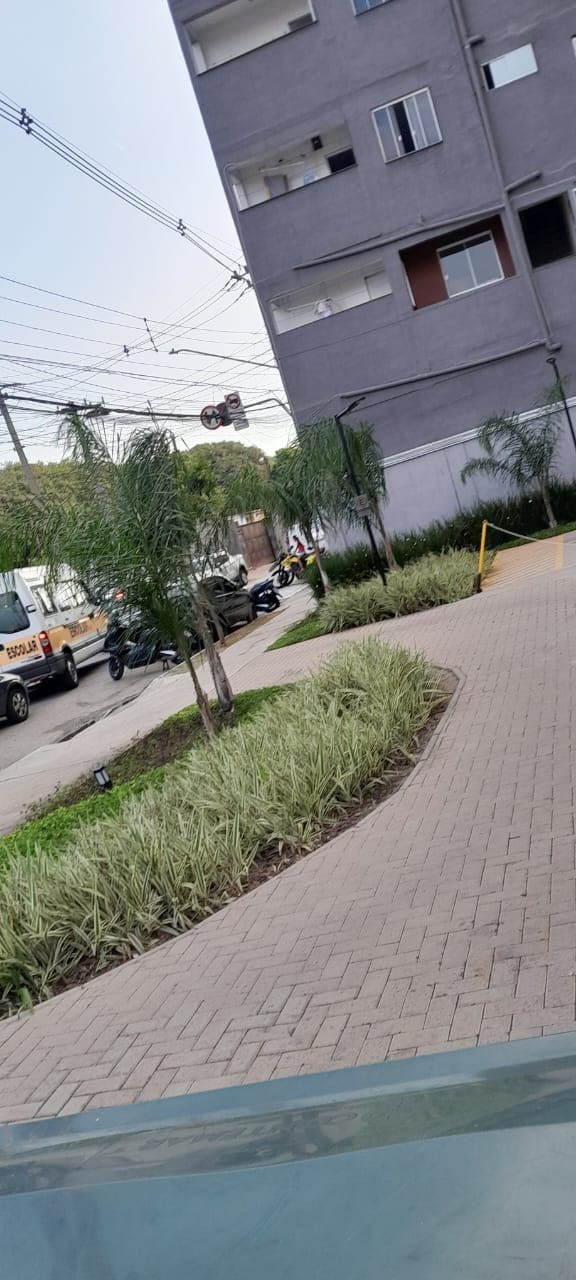 Canteiro curvo de moreias ao longo do caminho de entrada de um condomínio