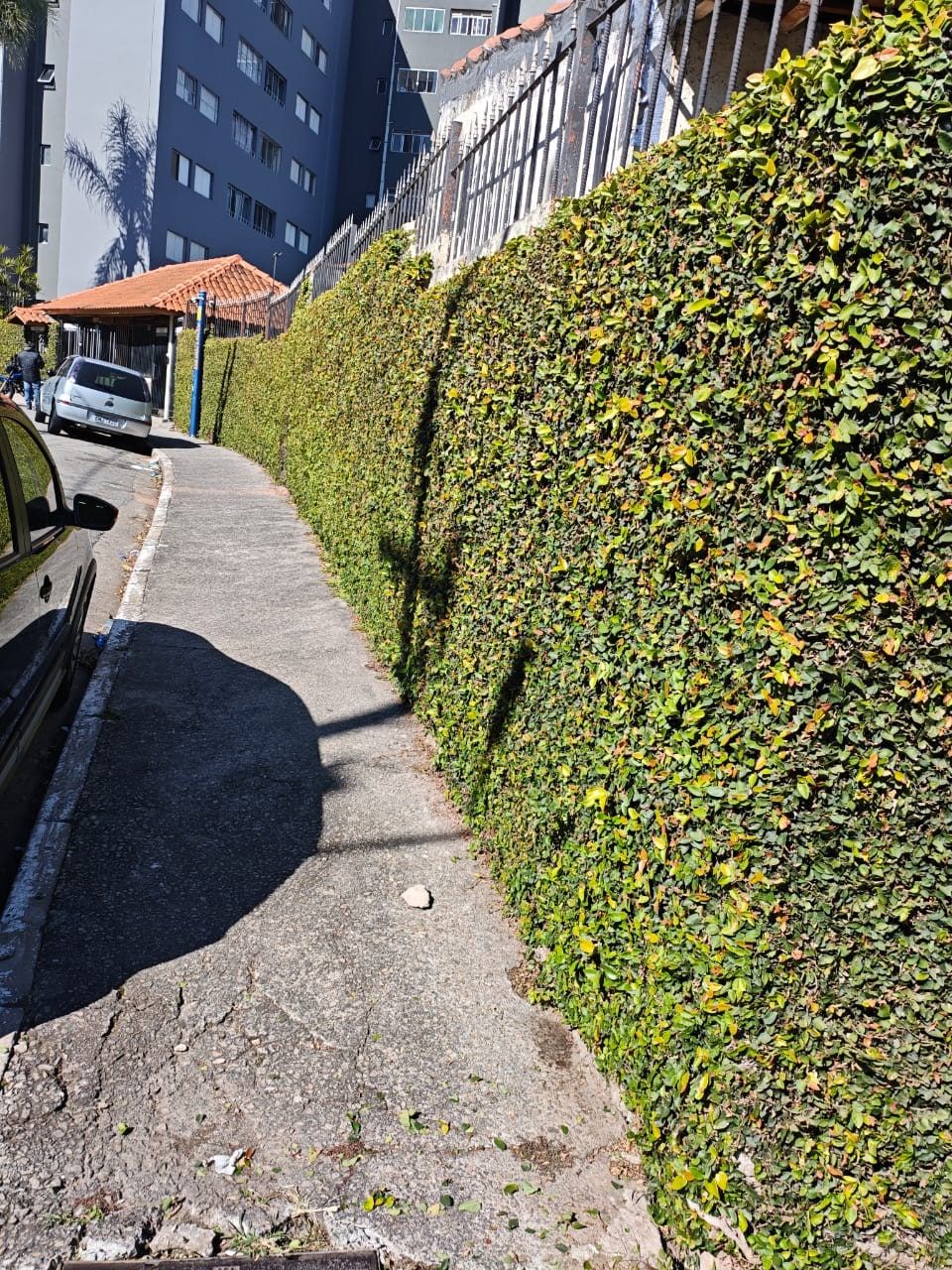 Muro verde aparado ao longo de uma calçada em subida