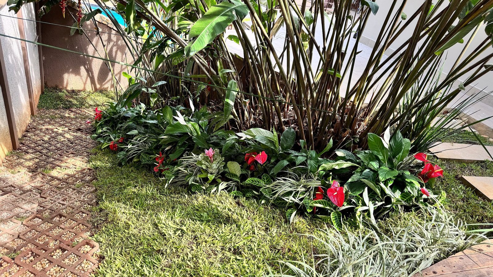 Jardim com gramado, canteiro de antúrios vermelhos e helicônias, mantido pela Alpha Soluções