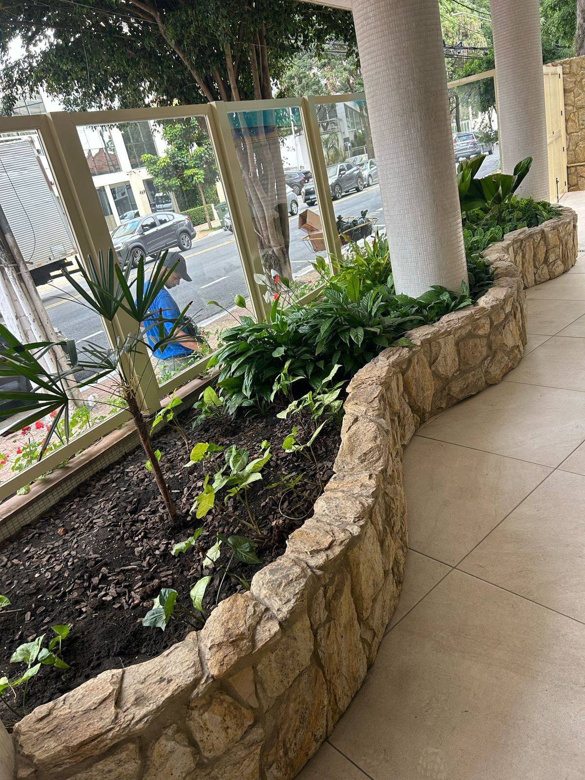 Jardineira curva de pedra com terra nova e mudas plantadas, na entrada envidraçada de um prédio