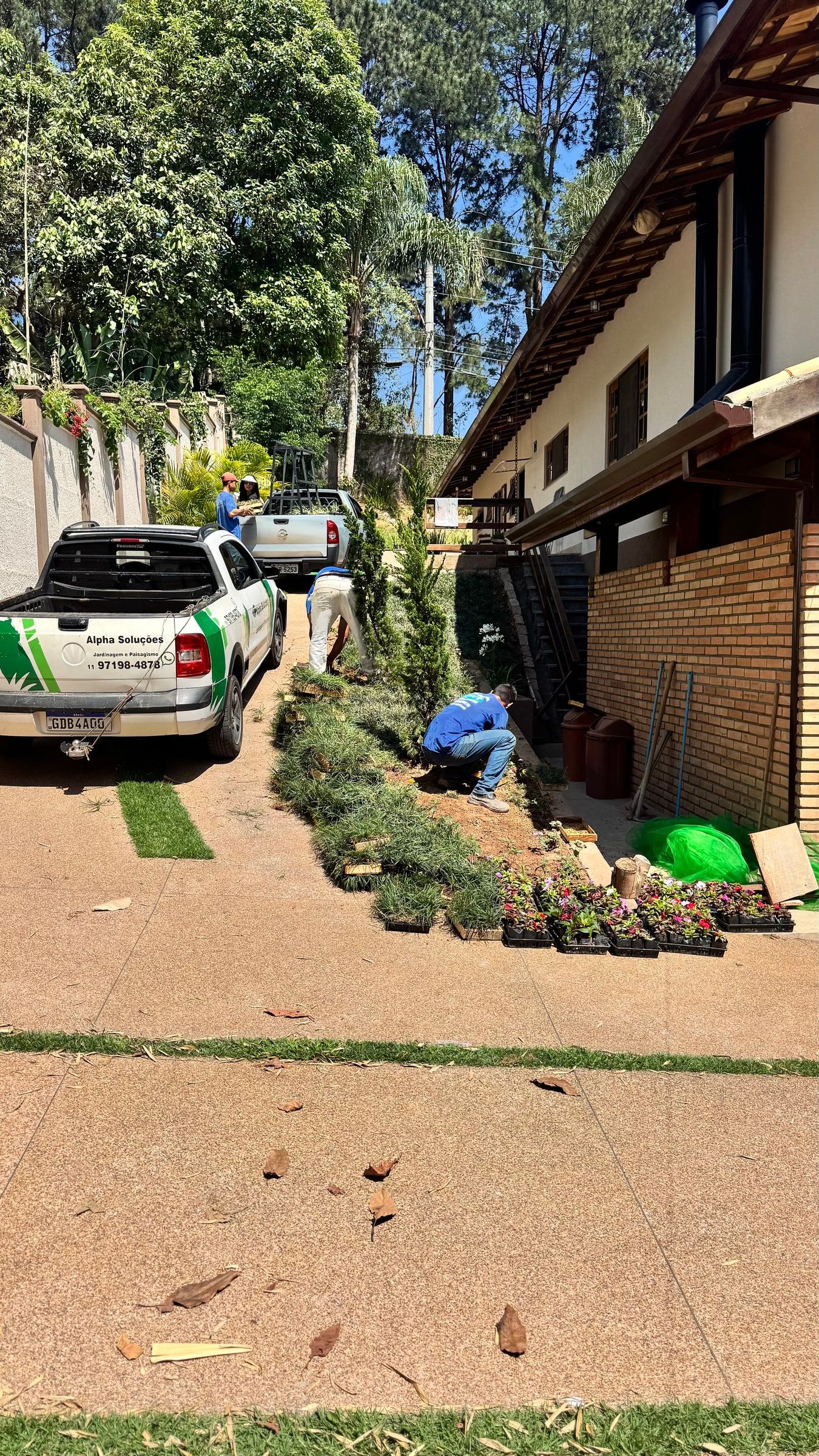 Caminhão da Alpha Soluções e equipe plantando um canteiro de flores em uma rua arborizada