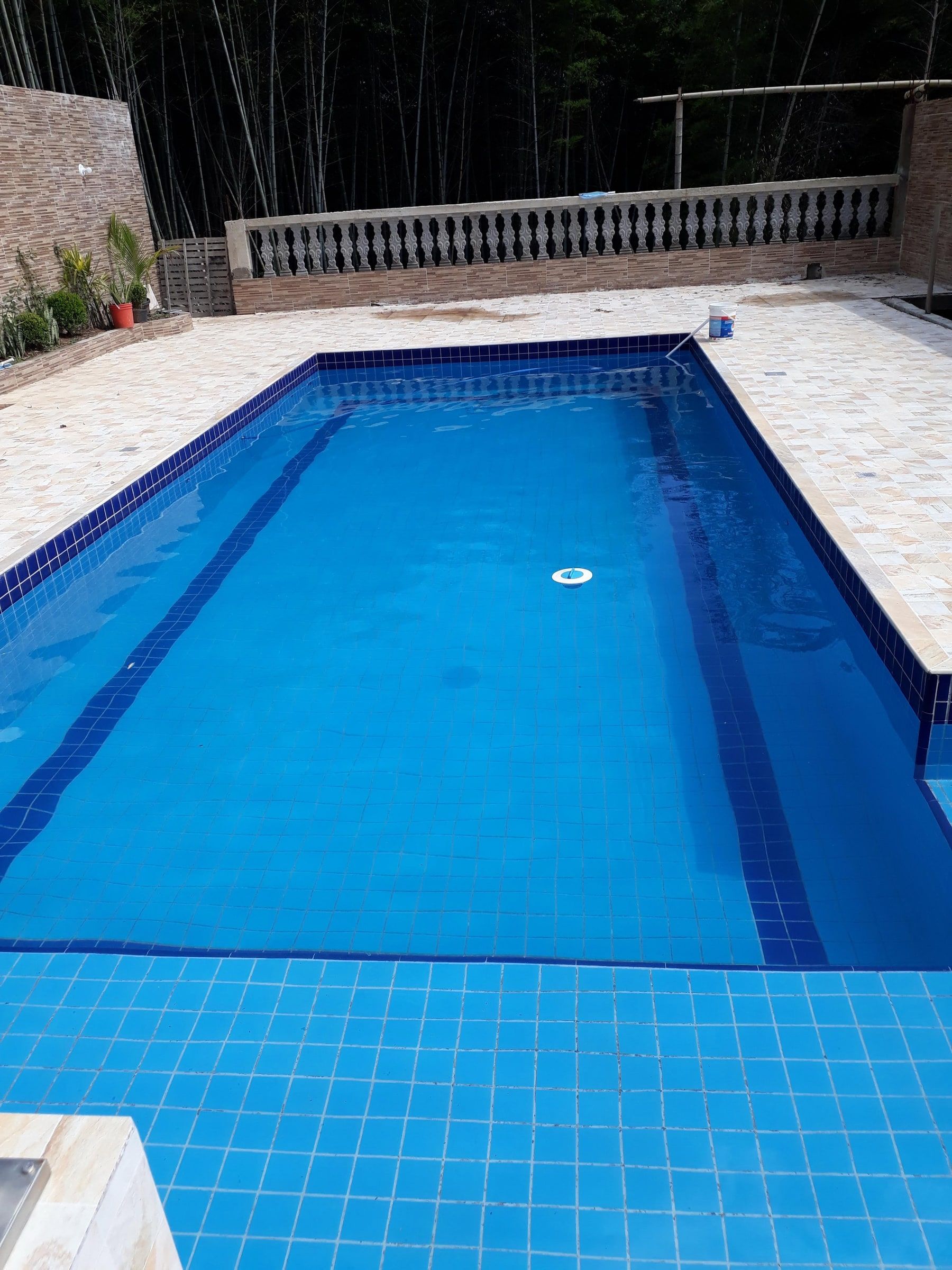 Piscina retangular de água azul e transparente, com bambuzal ao fundo