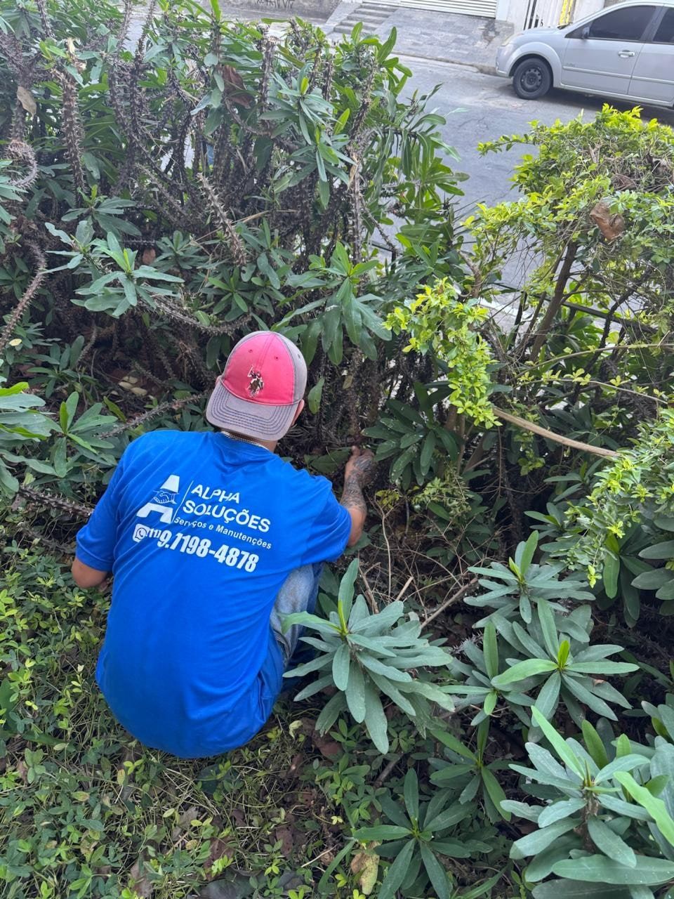 Funcionário da Alpha, de camiseta azul com o logo da empresa, cuidando de um canteiro