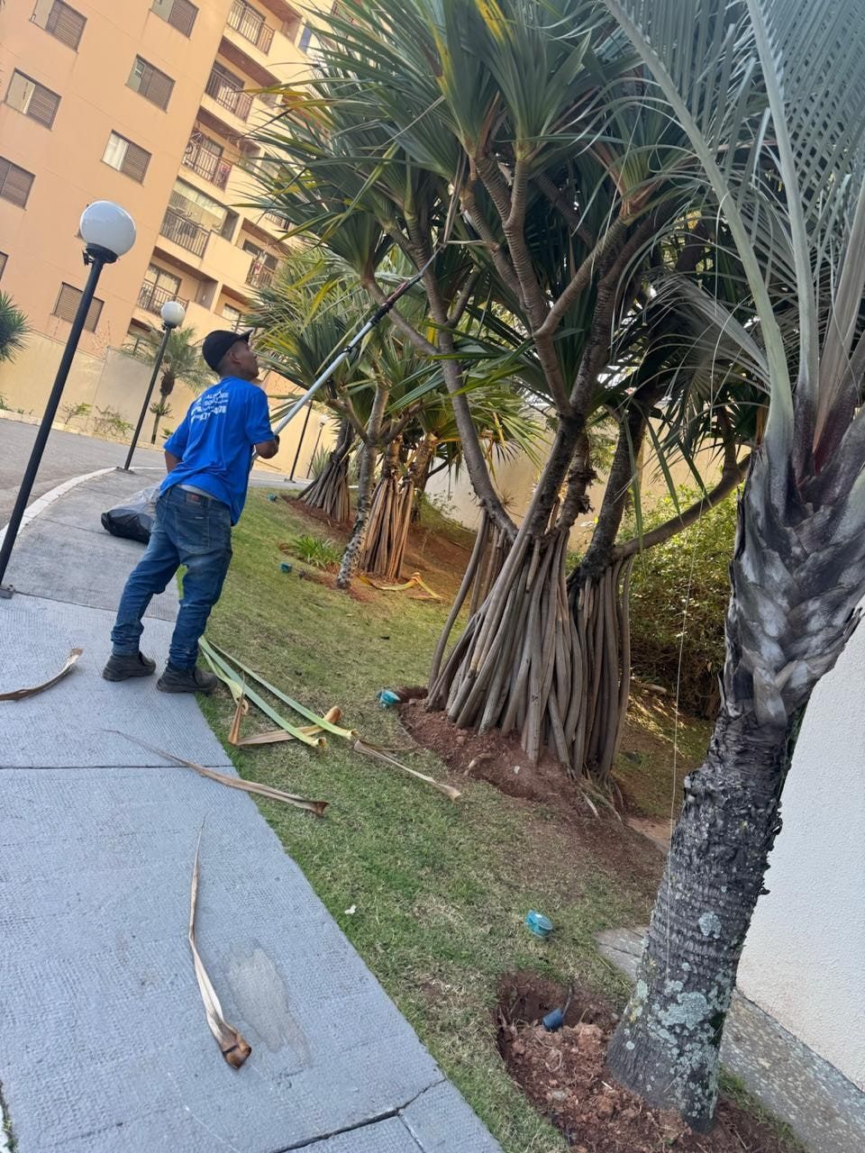 Funcionário da Alpha limpando palmeiras com podão num jardim de condomínio
