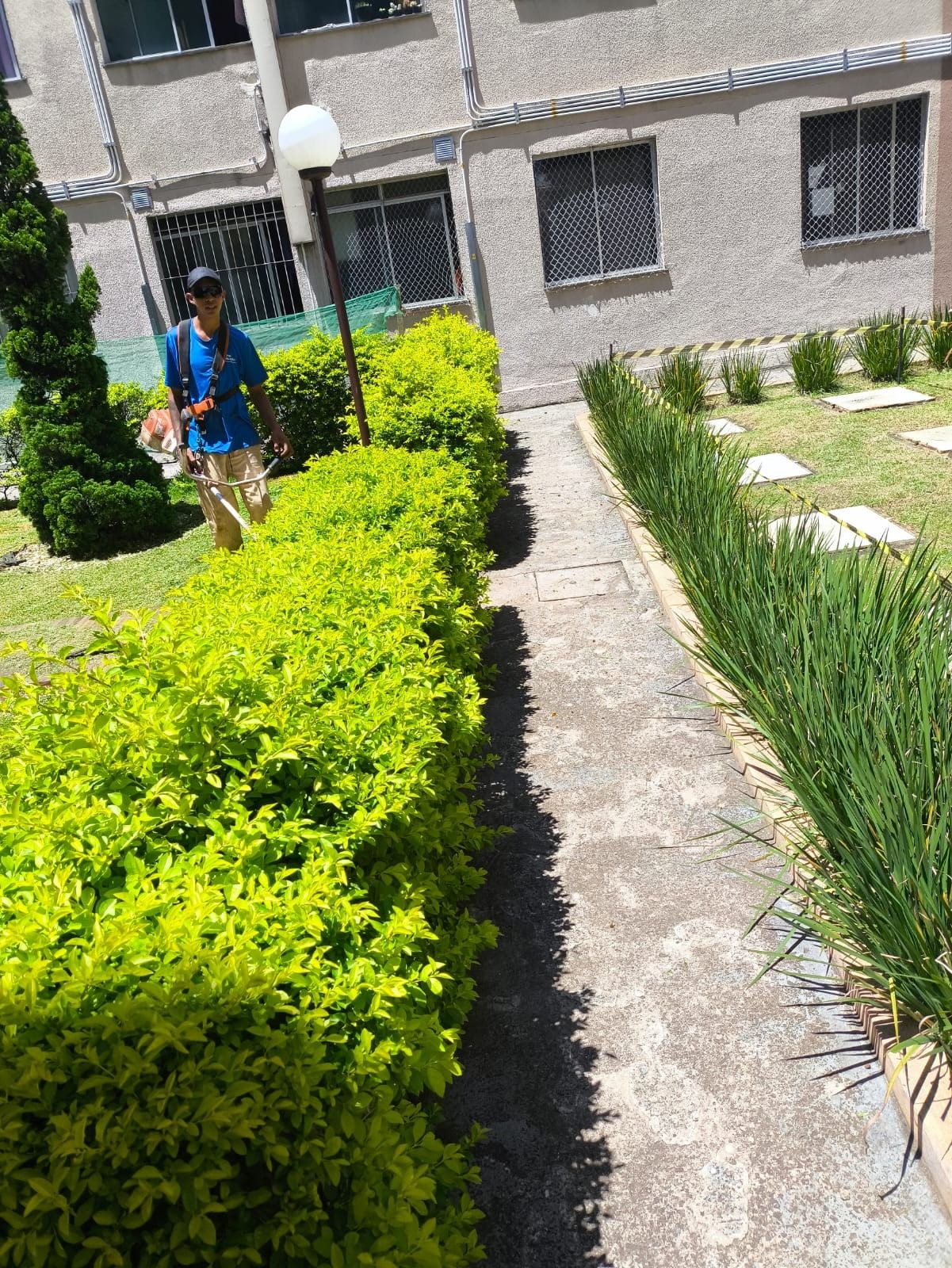 Jardineiro da Alpha com roçadeira entre cercas-vivas de pingo-de-ouro